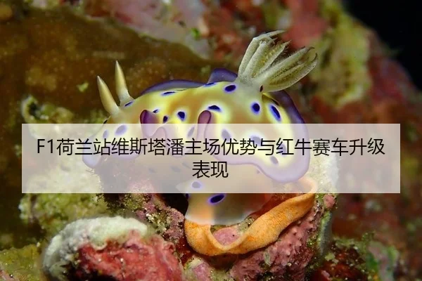 F1荷兰站维斯塔潘主场优势与红牛赛车升级表现