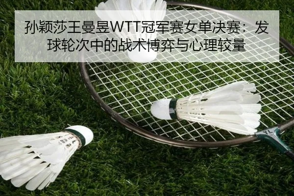 sun-ying-sha-wang-man-yu-guan-jun-sai-nv-dan-jue-sai-fa-qiu-lun-ci-zhong-de-zhan-shu-bo-yi-yu-xin-li-jiao-liang-2-276.jpg