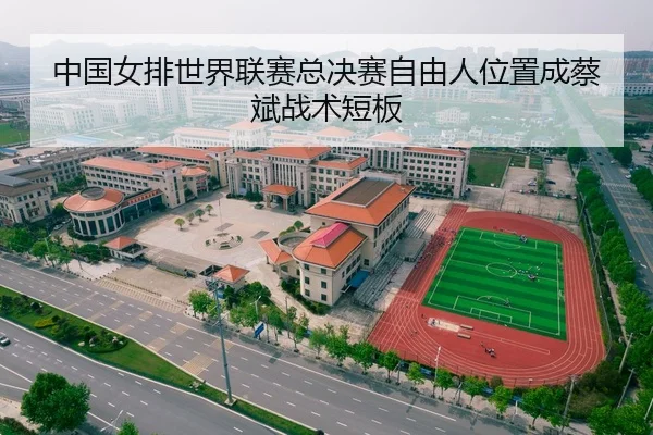 中国女排世界联赛总决赛自由人位置成蔡斌战术短板